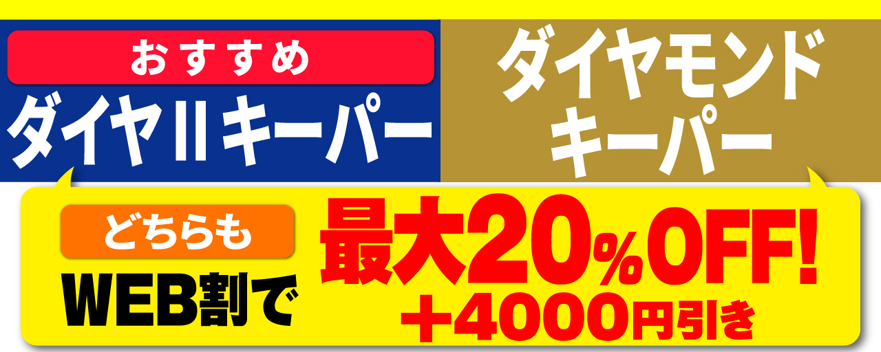 エコダイヤ・Wダイヤキーパー